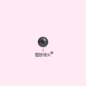 美女脱内内的视频
